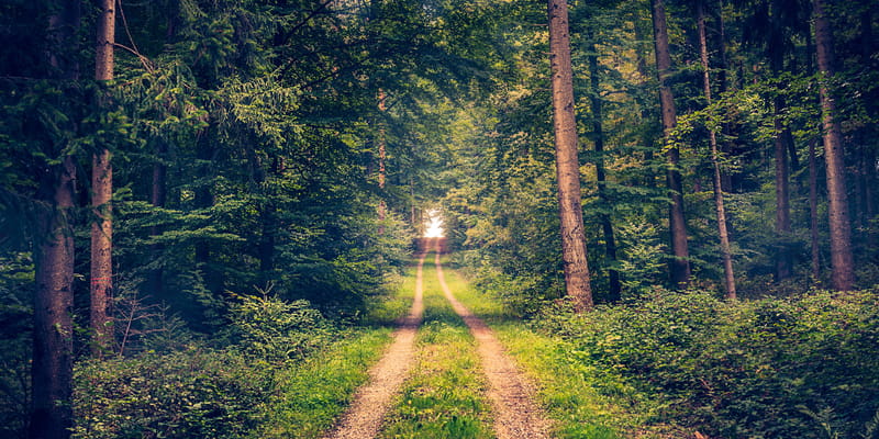 Eternal Life is More Than a ‘Forevermore Life’