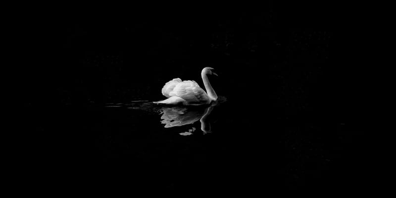 Moses' Swan Song
