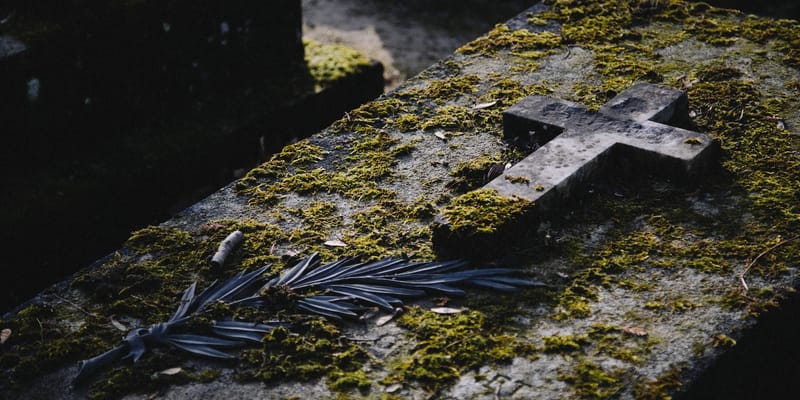 Can Dead People Come Back To Life?