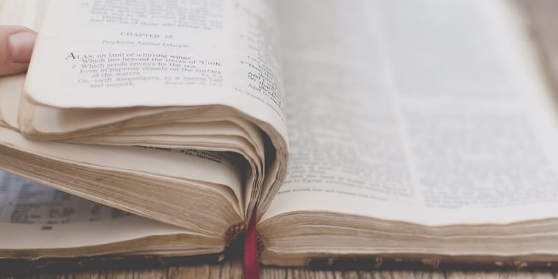 Daily Bible Reading