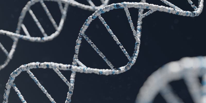 Synthetic DNA: The Path to Paradise? (and woolly mammoths)