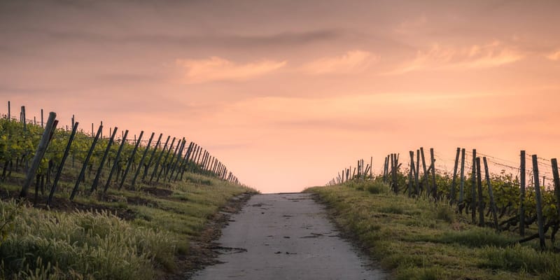 A Roadmap to Christian Living (Psalm 23)