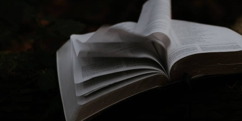 Bible Study and Theology: First Principles
