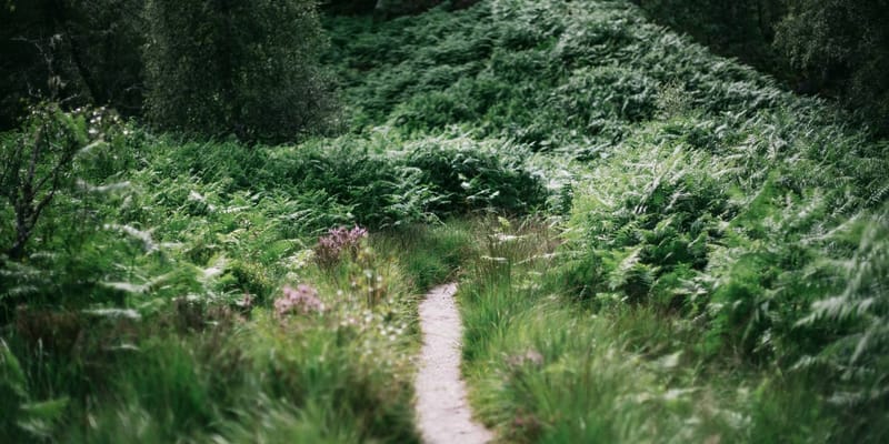 The path of tiny choices
