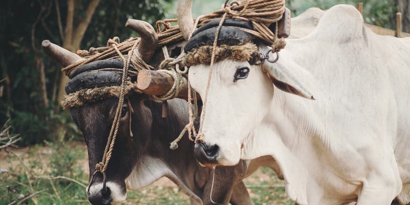 Ready For A King (2)? – Religion Or Relationship?