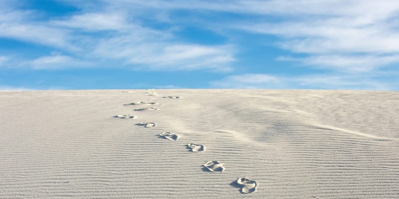 Living The Exodus Story (9): Did Jesus’ Life Include Elements Of The Exodus Story?