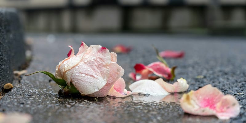 STILLBORN