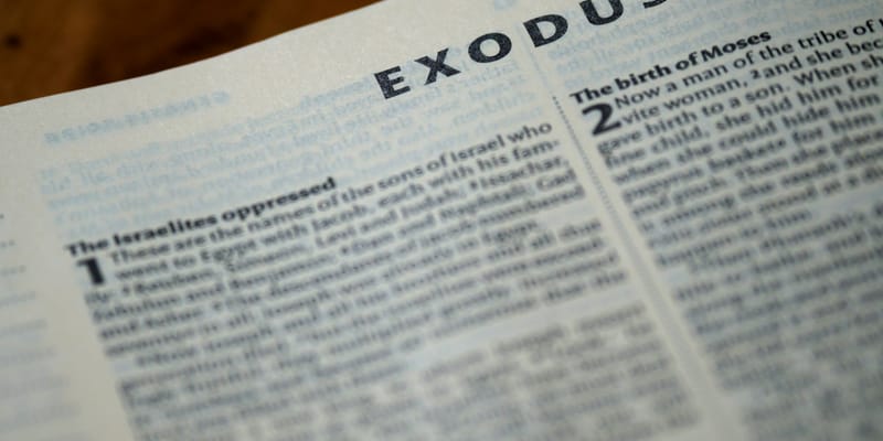 Living The Exodus Story (8): Moses’ Prequel To The Exodus Story