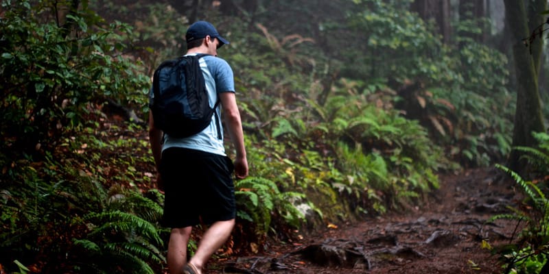 The Beaten Path
