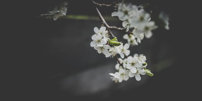 Is There Life After Death?