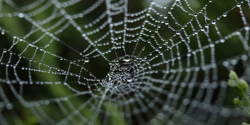 The Deceitfulness of Riches