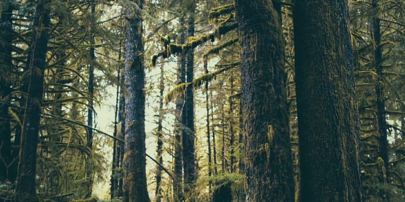 Is God Hiding?