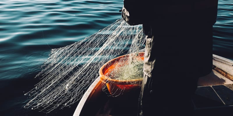 Miracles of Jesus: A Miraculous Catch of Fish