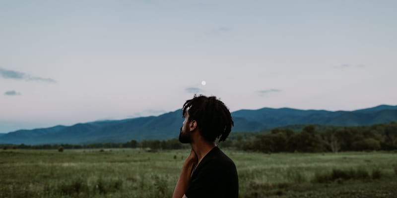 "Don't Look Up" and the Power of Soothing Lies