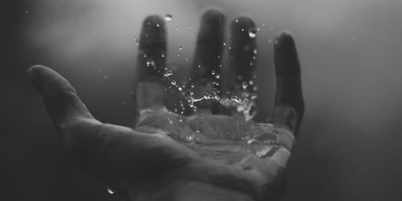Regeneration