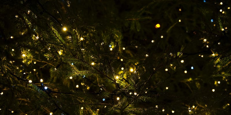 Hark! The Herald Angels Sing (1)
