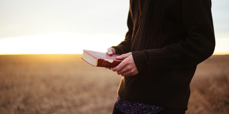 The Holy Spirit In Genesis And Beyond – Image Of God
