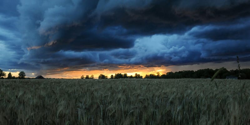 The Gathering Storm (Part 2)