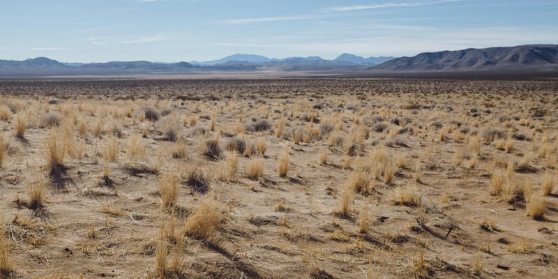 Living The Exodus Story (4): Wandering And Wondering