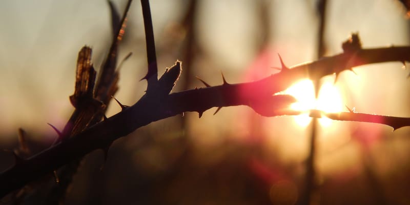 Why A Good God Allows Suffering, And Why I Am Thankful For It