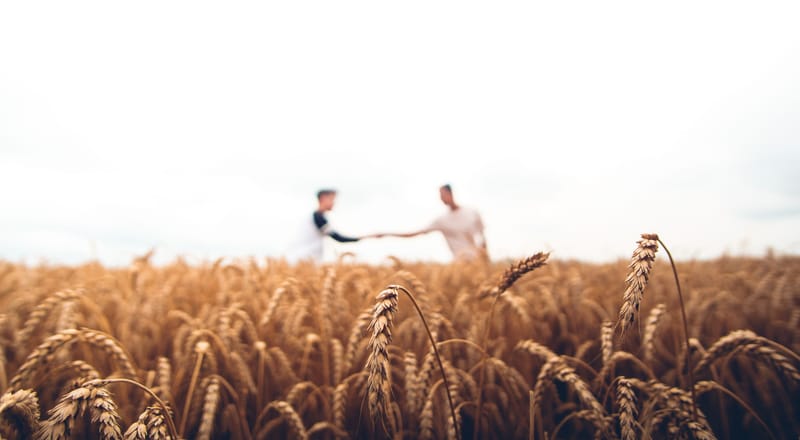 The Discipline of Evangelism