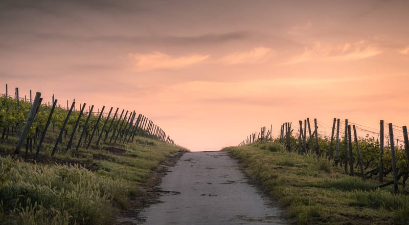 A Roadmap to Christian Living (Psalm 23)