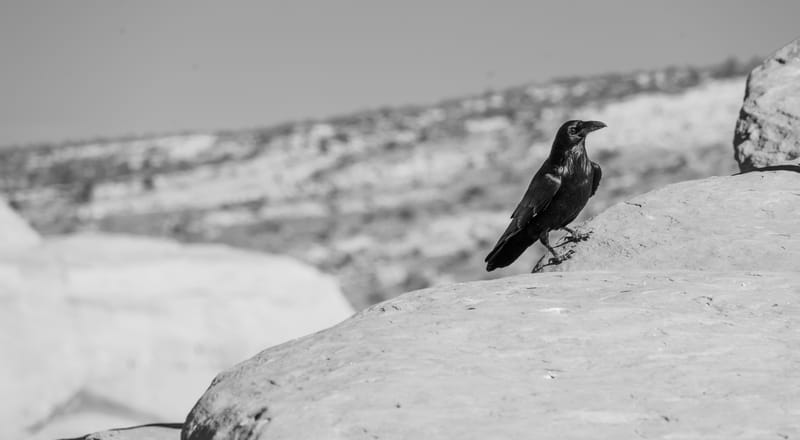 Ready For A King (4)? - God's Response To Rejection