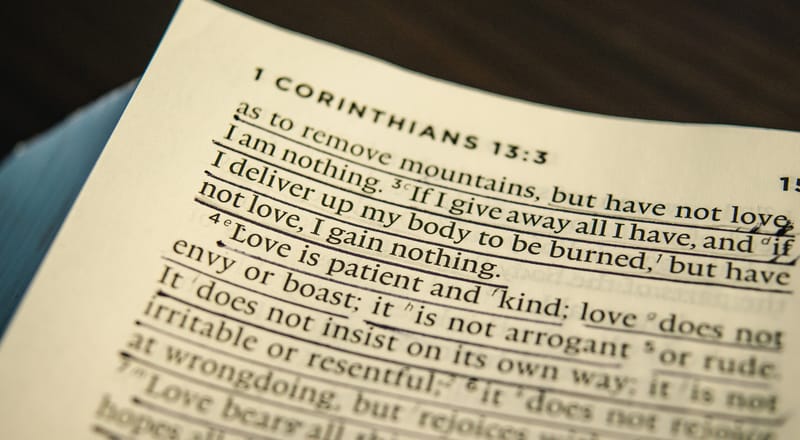 Studying the Bible