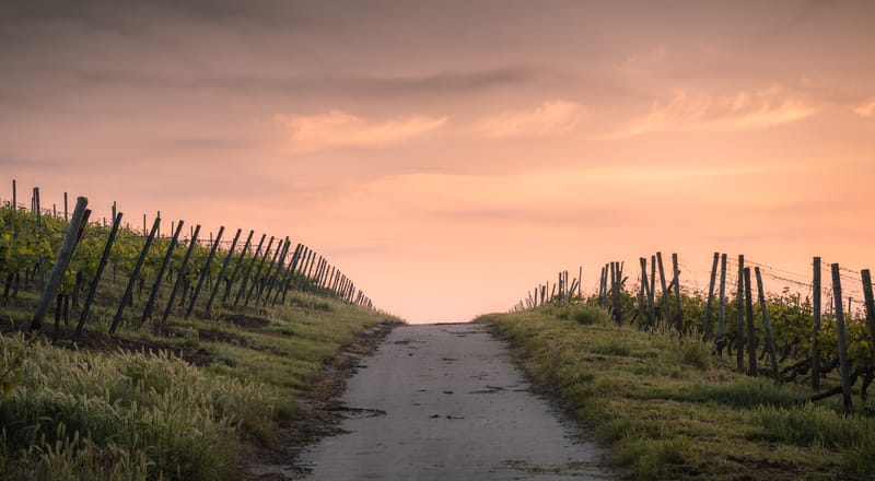 Is Jesus The Only Way? (Part 1)