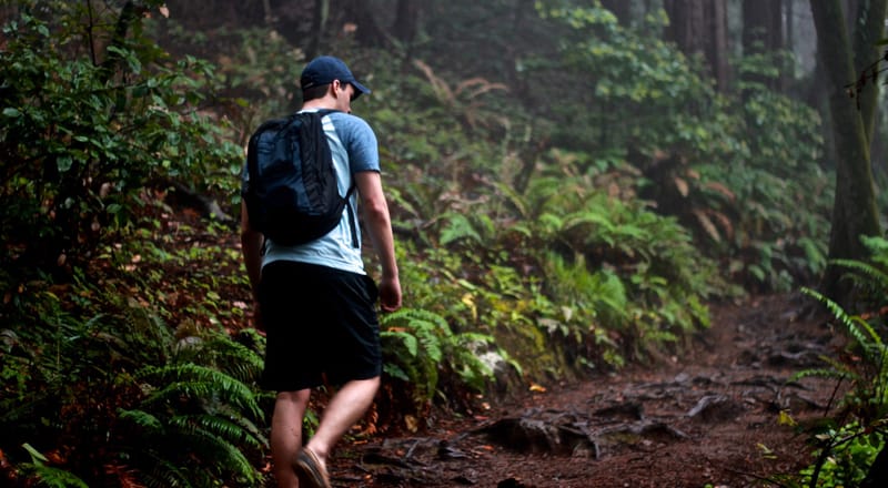 The Beaten Path