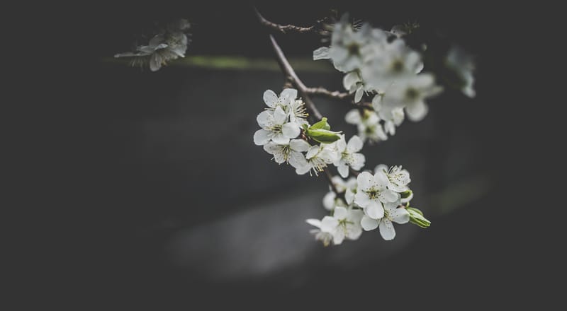 Is There Life After Death?