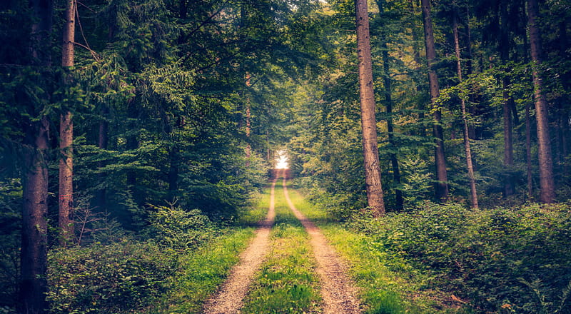 Eternal Life is More Than a ‘Forevermore Life’
