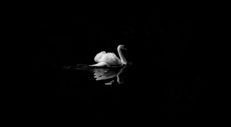 Moses' Swan Song