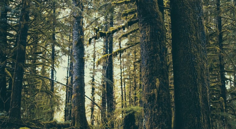 Is God Hiding?