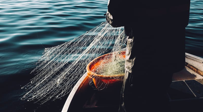Miracles of Jesus: A Miraculous Catch of Fish