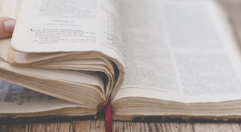 Daily Bible Reading
