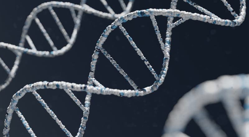 Synthetic DNA: The Path to Paradise? (and woolly mammoths)