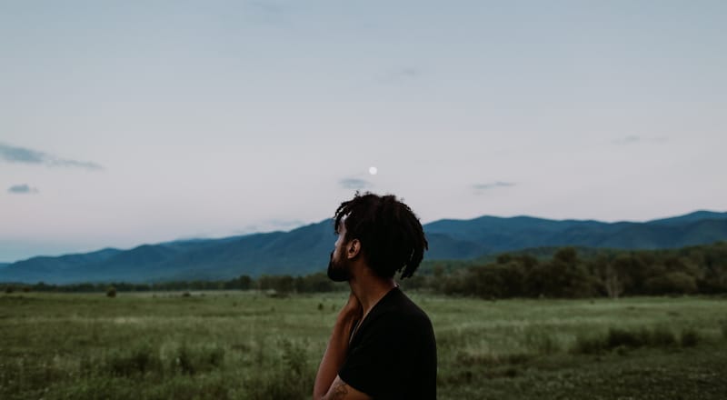 "Don't Look Up" and the Power of Soothing Lies