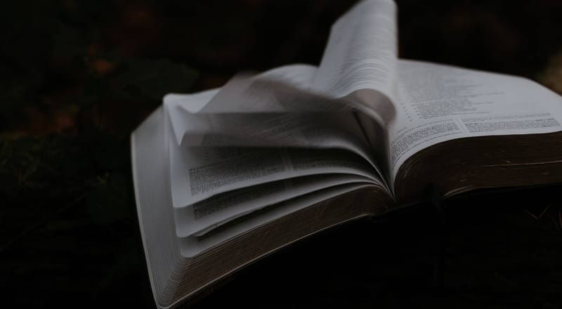Bible Study and Theology: First Principles