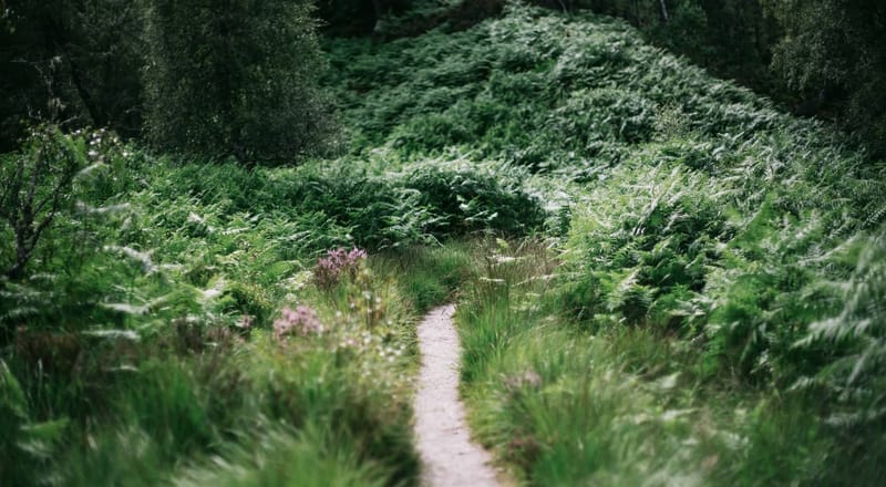 The path of tiny choices