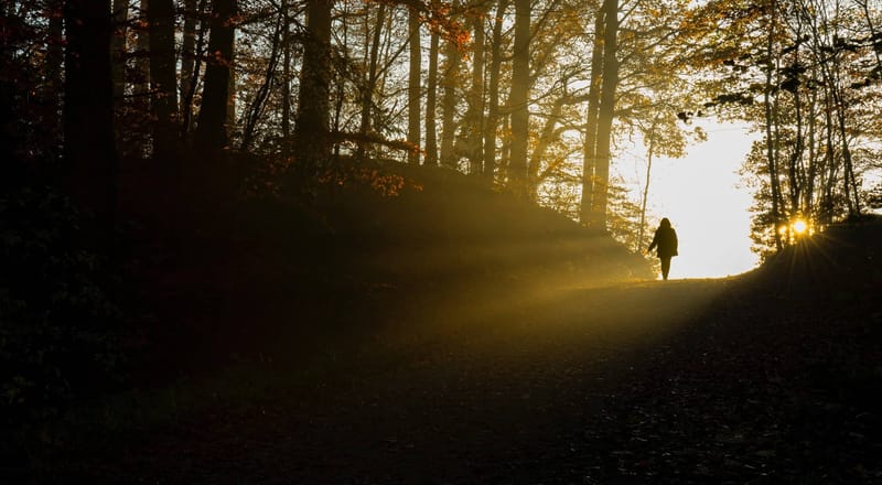 All The Way: A Lesson In God’s Faithfulness