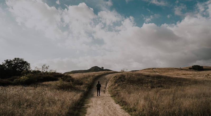 Timeless Wisdom (Part 2): Paths of Life