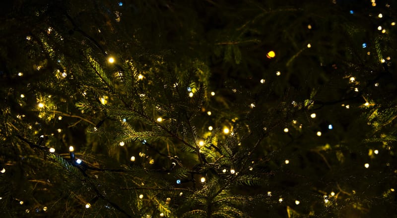 Hark! The Herald Angels Sing (1)