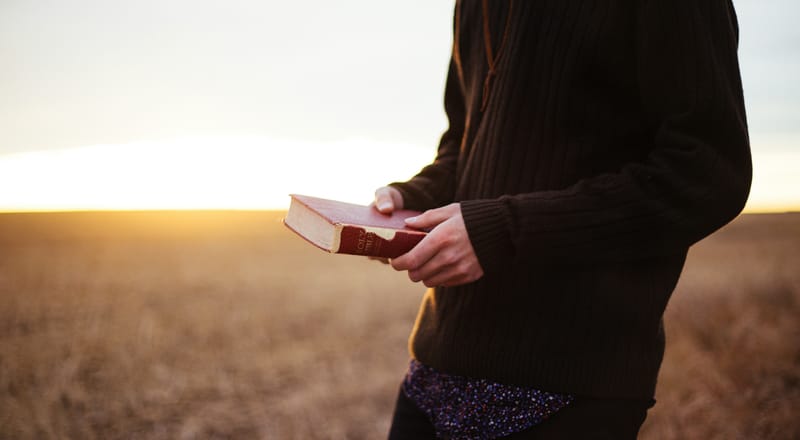 The Holy Spirit In Genesis And Beyond – Image Of God