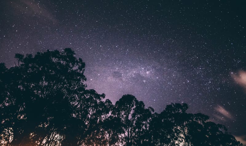Beauty in Creation