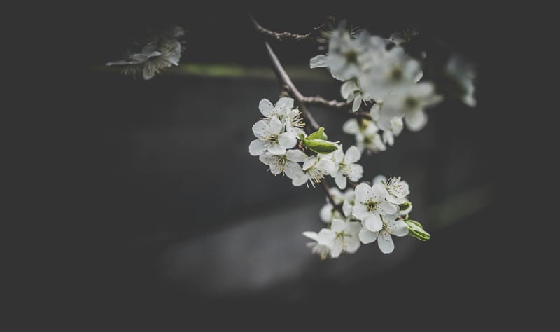 Is There Life After Death?