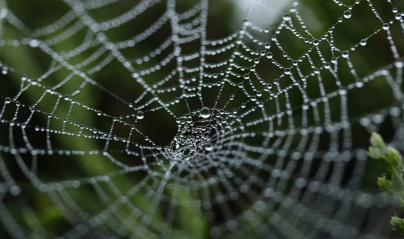 The Deceitfulness of Riches