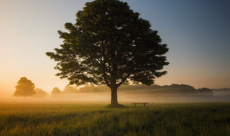 A Call To Rest