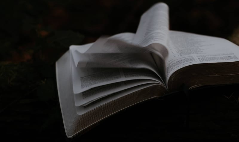 Bible Study and Theology: First Principles