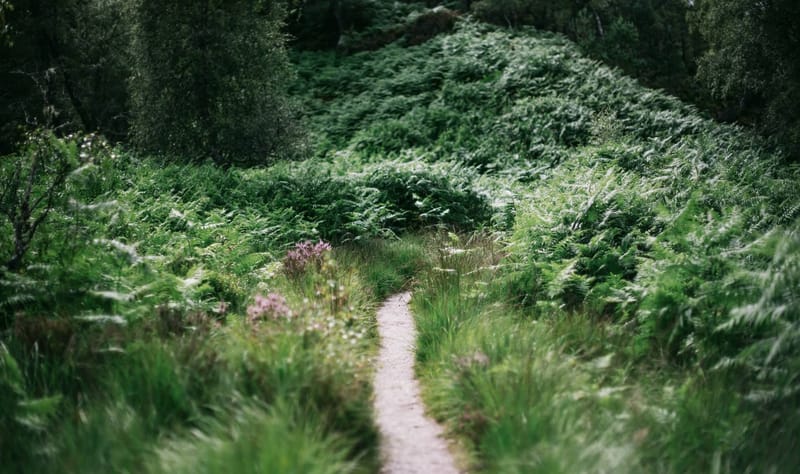 The path of tiny choices